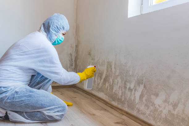 Licensed Mold Testing service in Milton, GA - WQB Mold Removal
