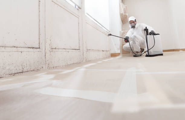 24/7 Emergency Mold Testing experts in Milton, GA