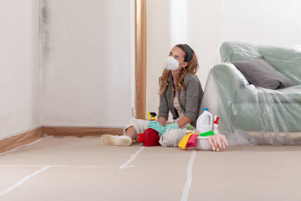Reliable Mold Testing contractor in Milton, GA by WQB Mold Removal