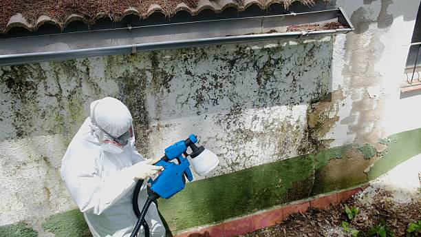 Top rated local Mold Testing specialists in Milton, GA